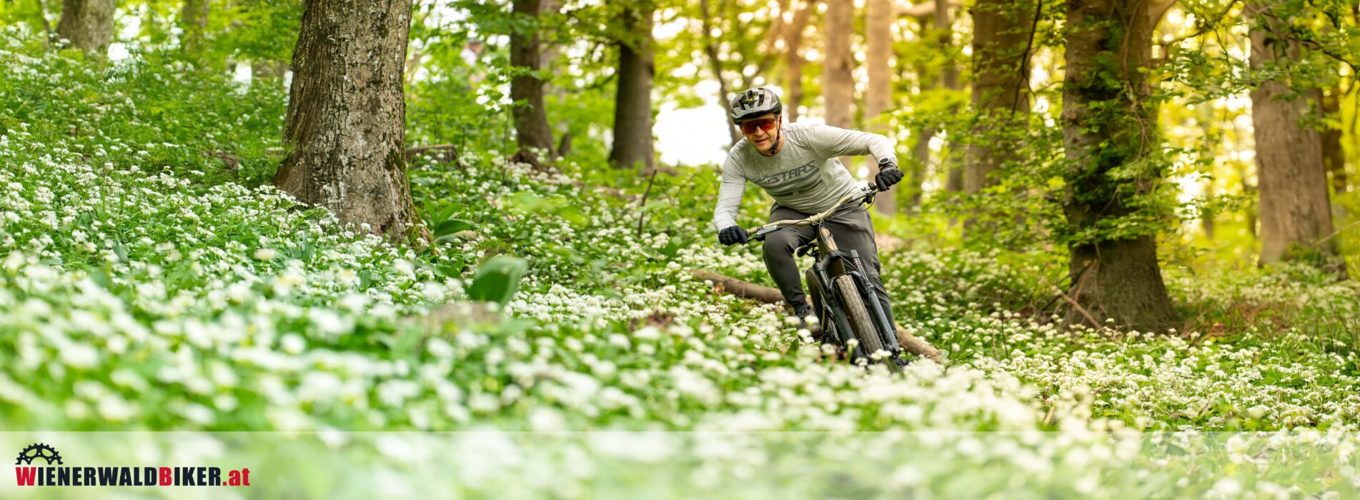 _DSC0391-Enhanced-NR-2-Wiederhergestellt